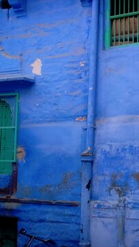 Exterior of blue painted house in famous Jodhpur the Blue City. Jodhpur, Rajasthan, India.