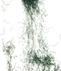 Green Confetti trash paper fall splashing in air. Dark Confetti cut paper explosion flying, abstract cloud fly. Many Party glitter scatter in many group. White background isolated