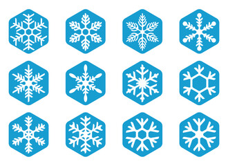Snow flower design icon set, made with appropriate colors and various shapes. vector eps 10