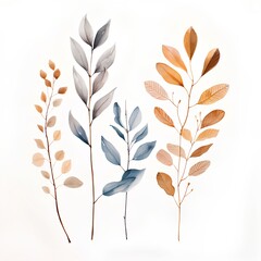 Set of hand drawn watercolor twigs and leaves. Vector illustration.