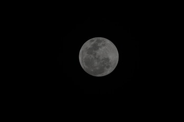 The Moon is an astronomical body that orbits planet Earth, being Earth's only permanent natural...