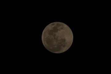 The Moon is an astronomical body that orbits planet Earth, being Earth's only permanent natural satellite