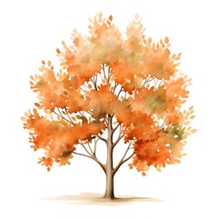 Watercolor autumn tree isolated on white background. Hand drawn illustration.