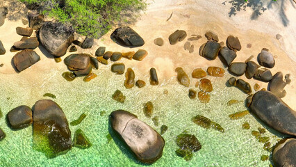 A pristine sandy shore hugged by lush green forests, where crystal-clear waters meet majestic...
