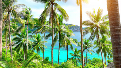 A mesmerizing blend of lush coconut groves and pristine, sapphire seas creates an idyllic island...