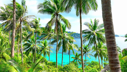 A breathtaking island oasis dotted with countless coconut trees, set against the backdrop of a...