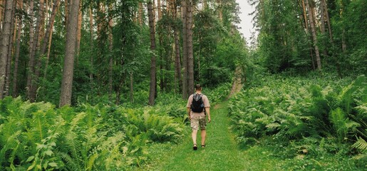 Man hiking in the forest 