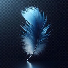 abstract blue background with feather
