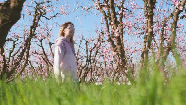 Beautiful woman walks along almond trees orchards with lush green grassland. Caucasian girl enjoys spring inspiration of lovely pink blossoms within lavish garden. High quality 4k footage