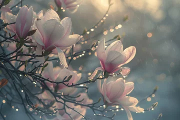 Outdoor kussens pink magnolia blossom © Aqsa