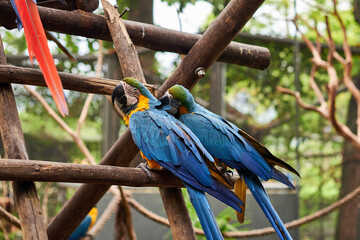 Bioparque do Rio de Janeiro