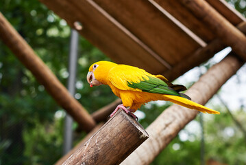 Bioparque do Rio de Janeiro