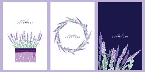 Set of lavender card Vector watercolor. Provence flowers banner backgrounds. lavender border, watercolor painting, hand drawn
