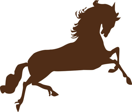 Kuda, Keledai, Zebra, Kuda Poni,
Horse, Donkey, Zebra, Pony,
Cavalo, Burro, Zebra, P&ocirc;nei,
Pferd, Esel, Zebra, Pony,
Paard, Ezel, Zebra, Pony,
Caballo, Burro, Cebra, Poni
