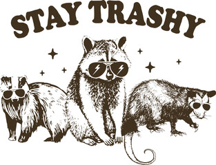 Stay Trashy raccoon SVG, stay trashy svg, funny raccoon svg, Stay Trashy png, Stay Trashy vector