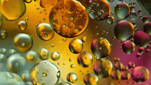 Closeup of a microscope slide with microscopic organisms highlighting the use of biotechnology in creating new biofuel sources. .