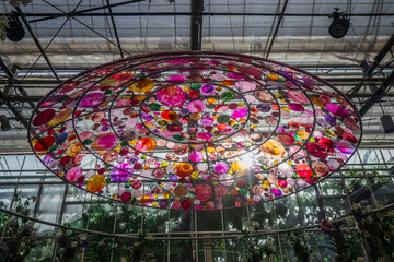 Orchid Reflections of Glass, Atlanta Botanical Garden, Atlanta, Georgia