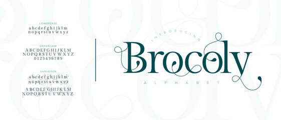 Elegant Brocoly Font Uppercase Lowercase and Number. Classic Lettering Minimal Fashion Designs. Typography modern serif fonts regular decorative vintage concept. vector illustration