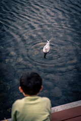 Niño mira ave en el agua