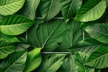 Green leaf background layout with white round corners shape. Nature concept. you can input any text or logo - generative ai - obrazy, fototapety, plakaty