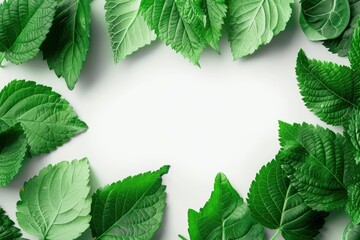 Green leaf background layout with white round corners shape. Nature concept. you can input any text or logo - generative ai