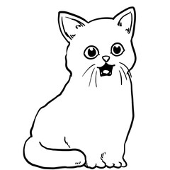 Simple and realistic line drawing of a cat
