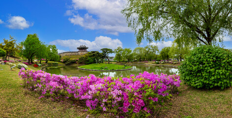 Obraz premium 화성의 봄