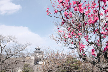 福島県白河市　梅の花と小峰城