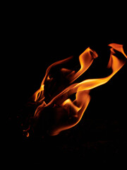 暗闇の中で燃える炎の美しい形