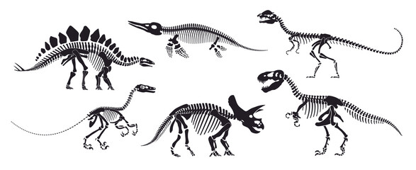 Dinosaur skeleton fossil, isolated dino bones. Vector reptile animal silhouettes. Avaceratops, basilosaurus, stegosaurus, eoraptor, gallimimus, tyrannosaur ancient reptilian prehistoric remnants © Vector Tradition