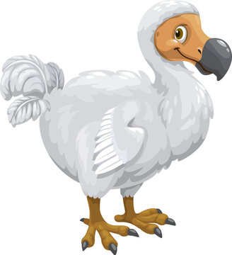 Cartoon dodo bird character. Isolated vector flightless bird native to Mauritius, known for its large size, round body, stubby wings, and a distinctive beak. Extinct since the late 17th century