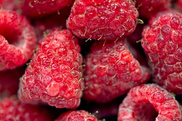 Raspberry, a small, vibrant fruit, boasts a sweet-tart flavor and is prized for its rich...