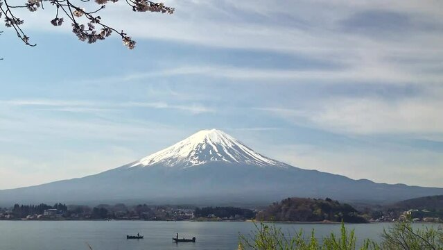 富士山を背景にした桜の花の一部、固定撮影