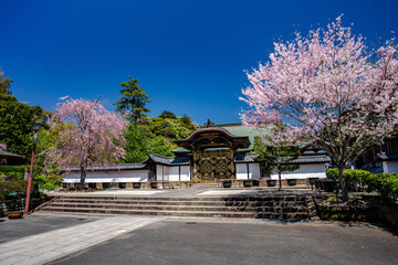 鎌倉の風景　春の建長寺