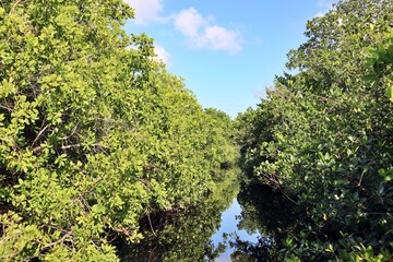 Obraz premium Tuxpan Veracruz 