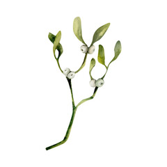 Obraz premium Green christmas floral omela branch with beries watercolor illustration,Hand drawn winter bouquet, new year traditional flower for greeting card, invitaion, packing design