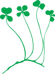 Natural Four-Leaf Clovers Attached to its Vine Silhouette (Vectorized).