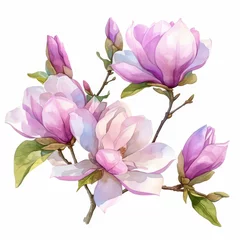 Foto op Canvas Watercolor painted magnolias, vibrant spring floral bunch, isolated on a white background, in high detail --ar 1:1 --niji 6 Job ID: ea9b7d3e-1f2e-4db8-b970-47a40358e5ef © Anuwat