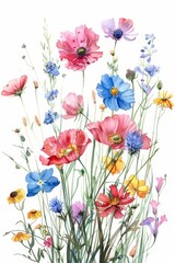 Fototapeta na wymiar Rich watercolor wildflowers for summer, vivid and isolated --ar 2:3 Job ID: b9a8ed72-3a92-4ee6-814c-79aee0907bf1