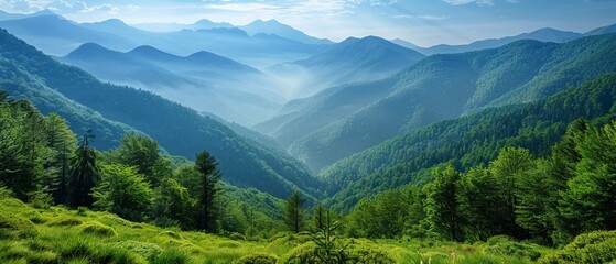 A serene morning mist envelopes a lush, green mountain valley, offering a panoramic view of vibrant...