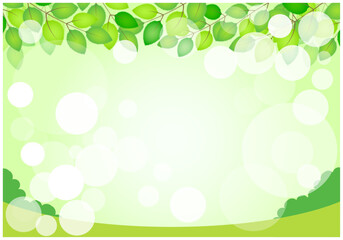 緑の葉っぱの美しい新緑フレーム背景4緑色