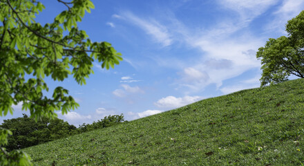 春・夏　煽りで見上げた丘・土手の野原の坂道　さわやかな晴天の青空と雲の背景壁紙 　アウトドア・夏休み・祝日・行楽・観光・旅行・ゴールデンウィーク・ウォーキング・散歩のイメージ素材
