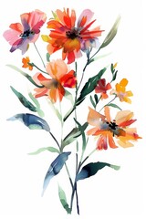 Brightly colored spring floral watercolor clipart, isolated on white --ar 2:3 Job ID: 74b406b0-fc23-430c-87c6-06ef153f9582