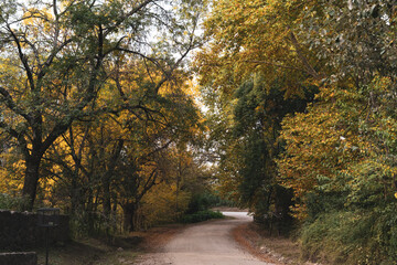 landscape of Cordoba Argentina in autumn trees, river, mountains, ideal tourism promotion