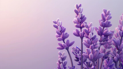 A visually striking image of stylized lavender flowers set against a gradient purple background with a dreamlike quality.