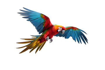 colorful isolated white flying parrot bird animal macaw tropical yellow red nature green beak blue colourful feather wildlife wing wild pet colours tree branch zoo air amazon art background beauty
