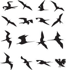 Print  Frigate Bird Silhouette; Hawaii Bird EPS; Great Frigate Bird; Iwa Bird;  Bundle EPS Clipart; Great Frigate Bird Vector; Ocean Bird
