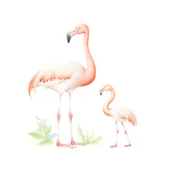 Fotobehang Watercolor of flamingo, pink flamingo © NEXT-Ai
