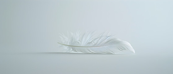 A white feather lays on a white surface. The feather is very thin and delicate, and it is almost weightless. Concept of calm and serenity