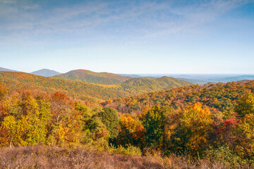 Fall foliage in Shenandoah National Park.Virginia.USA